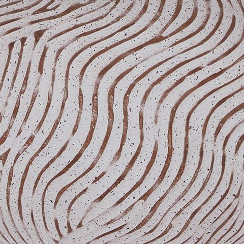 Vien - Terracotta Table Lamp - Distressed White Table Lamps by Signature Design by Ashley® - Walls Furniture & Mattress