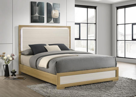 Hyland - Panel Bed LED Headboard Panel Beds by Coaster Fine Furniture - Walls Furniture & Mattress