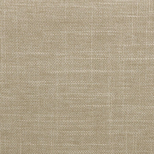 Chloe - Upholstered Panel Bed Upholstered Beds by CoasterEssence - Walls Furniture & Mattress