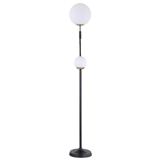 Dacki - Dual Spherical Bulb Metal Floor Lamp - Black Floor Lamps by Coaster Fine Furniture - Walls Furniture & Mattress