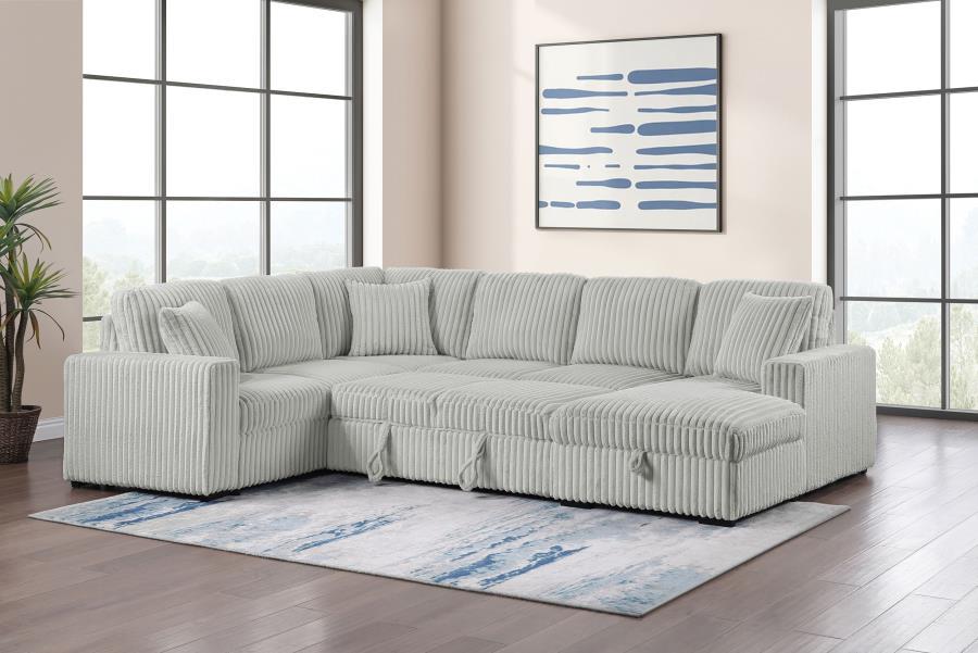 Devonshire - Sleeper Sectional Sofa Storage Chaise Sleeper Sectionals by Coaster Fine Furniture - Walls Furniture & Mattress