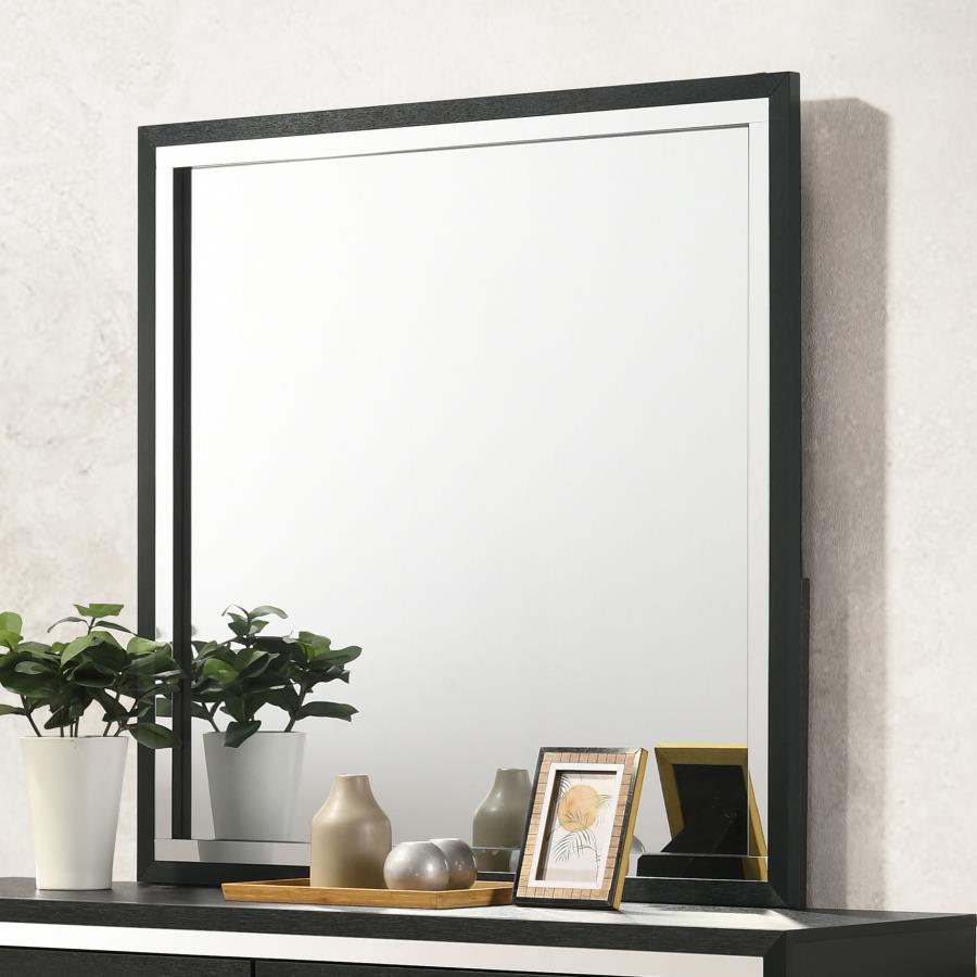 Lucia - Dresser Mirror Bedroom Mirrors by Coaster Fine Furniture - Walls Furniture & Mattress