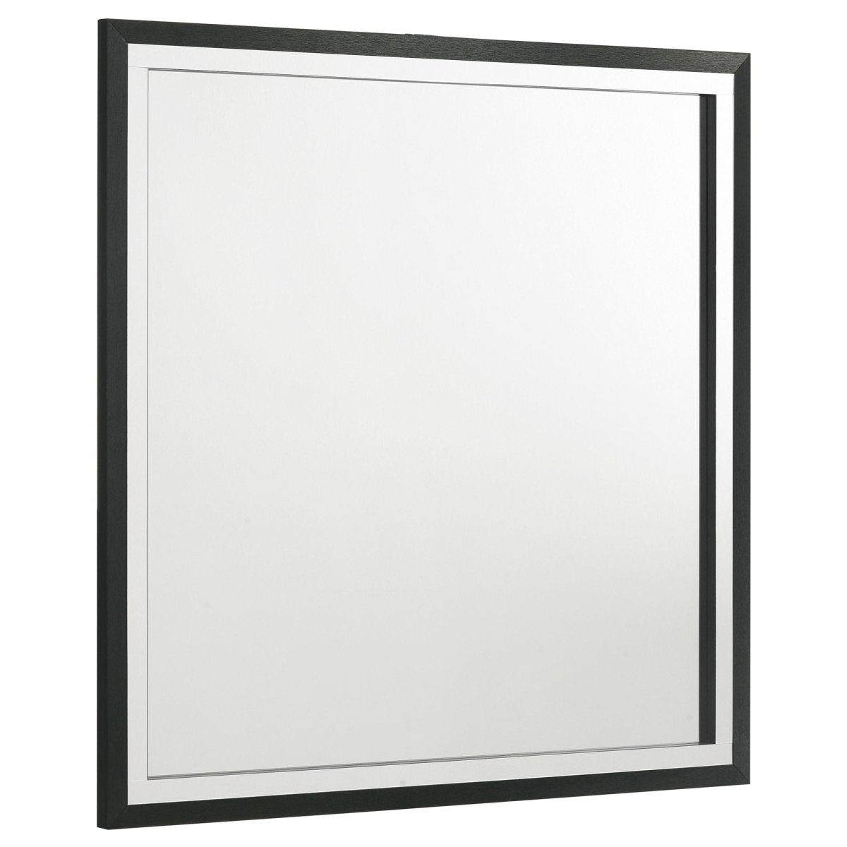 Lucia - Dresser Mirror Bedroom Mirrors by Coaster Fine Furniture - Walls Furniture & Mattress