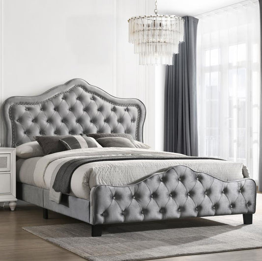 Bella - Upholstered Panel Bed Upholstered Beds by CoasterEssence - Walls Furniture & Mattress