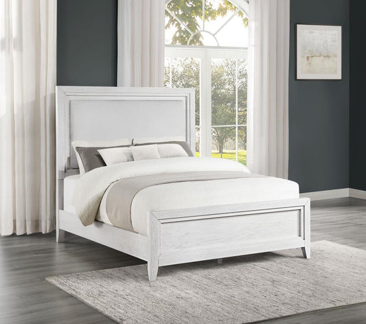 Marielle - Panel Bed Upholstered Beds by CoasterEveryday - Walls Furniture & Mattress