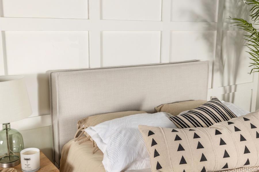 Izzy - Upholstered Panel Headboard Upholstered Headboards by CoasterEveryday - Walls Furniture & Mattress