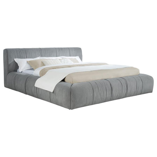 Wilshire - Upholstered Platform Bed Upholstered Beds by Coaster Fine Furniture - Walls Furniture & Mattress