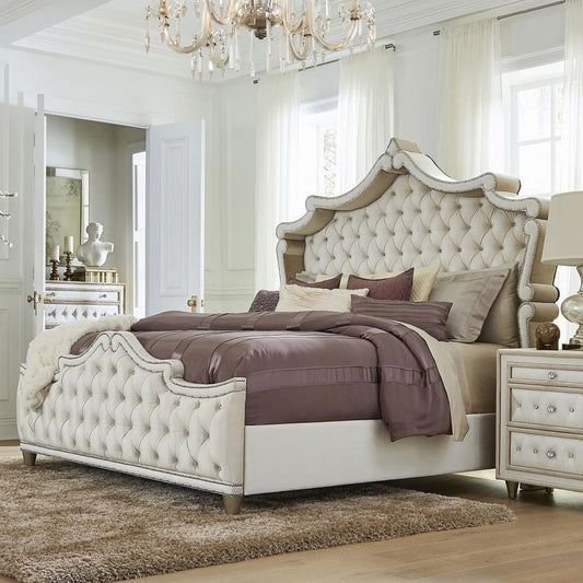 Antonella - Upholstered Panel Bed Upholstered Beds by CoasterElevations - Walls Furniture & Mattress