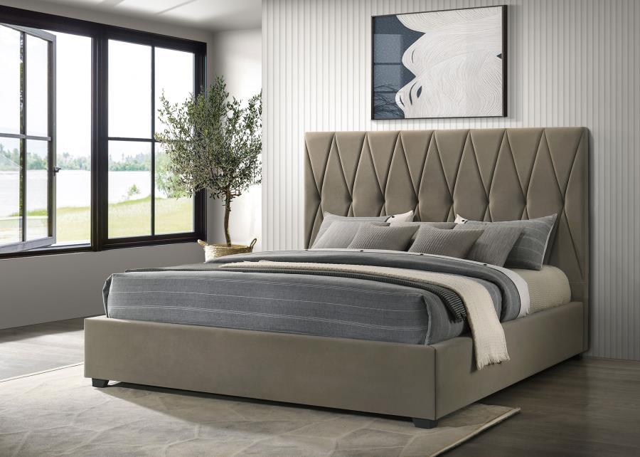 Delsea - Upholstered Platform Bed Upholstered Beds by Coaster Fine Furniture - Walls Furniture & Mattress