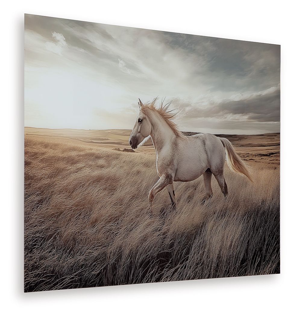 Errolville - Multi - Wall Art Wall Decor by Signature Design by Ashley® - Walls Furniture & Mattress