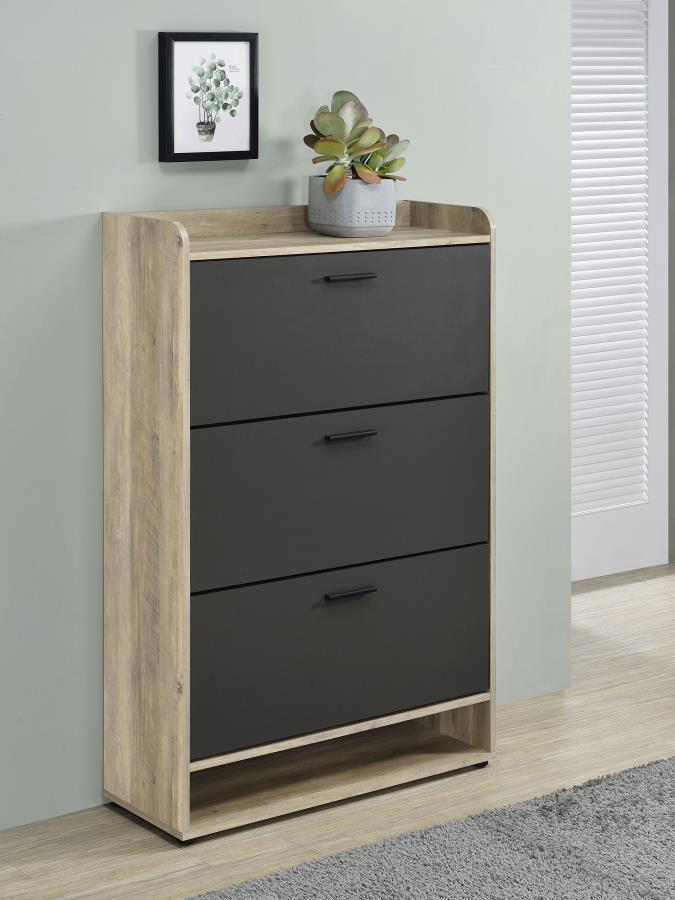 Denia - 3 - Tier Engineered Wood Shoe Cabinet Shoe Cabinets by CoasterEveryday - Walls Furniture & Mattress