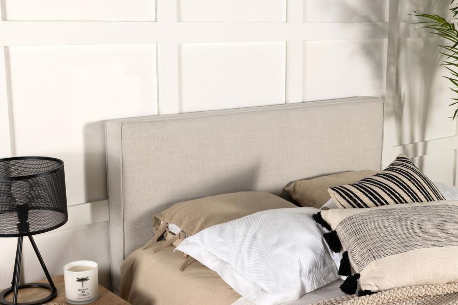 Kosmo - Upholstered Panel Headboard Upholstered Headboards by CoasterEveryday - Walls Furniture & Mattress