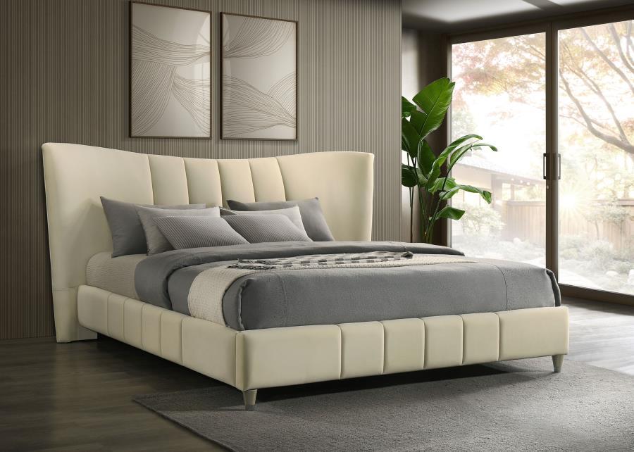 Evelyn - Upholstered Panel Platform Bed Upholstered Beds by Coaster Fine Furniture - Walls Furniture & Mattress