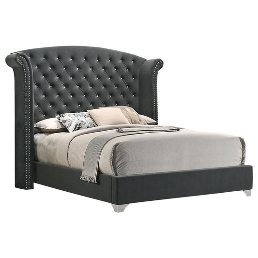 Melody - Upholstered Wingback Bed Upholstered Beds by CoasterEveryday - Walls Furniture & Mattress