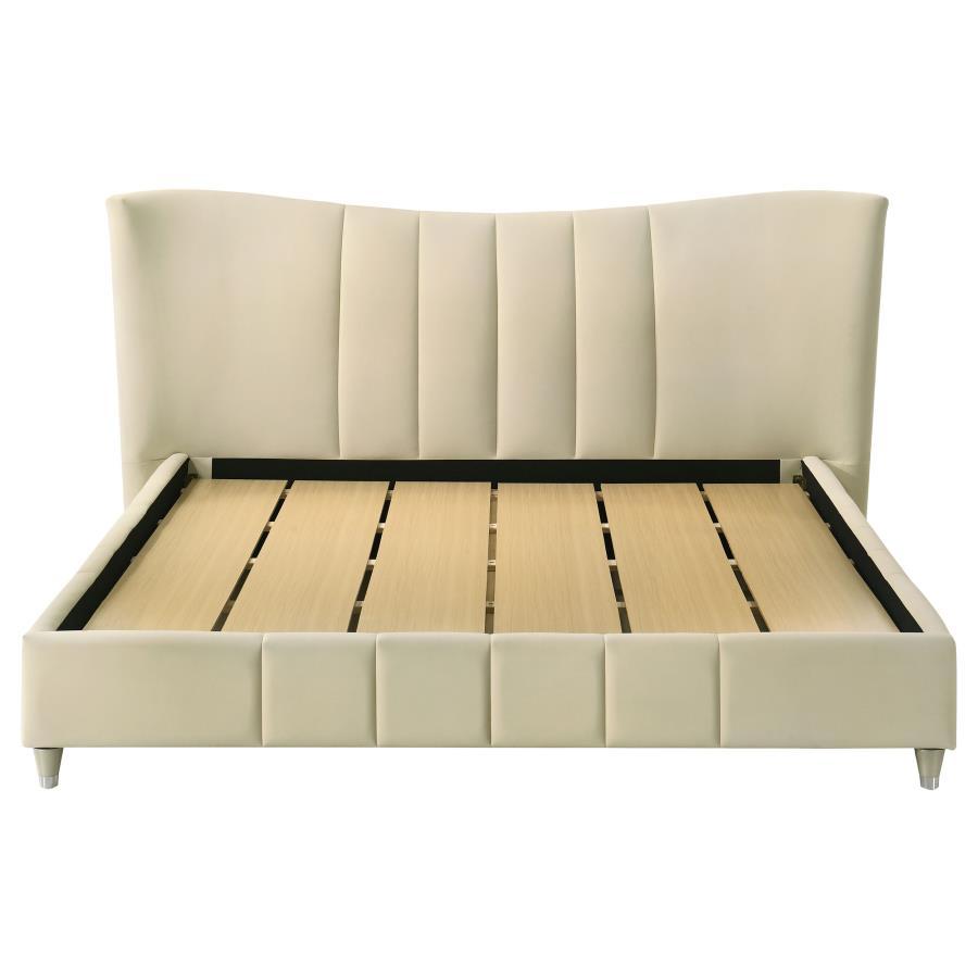 Evelyn - Upholstered Panel Platform Bed Upholstered Beds by Coaster Fine Furniture - Walls Furniture & Mattress