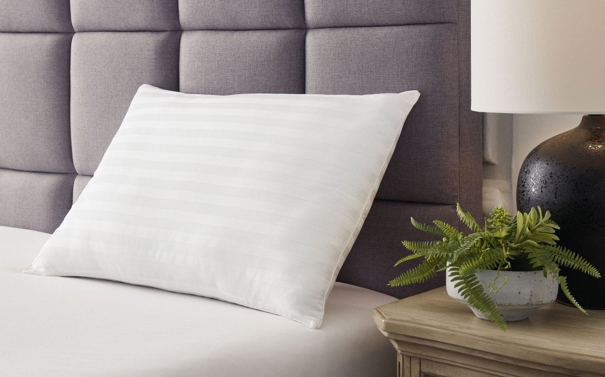 Zephyr 2.0 - Cotton Pillow Bed Pillows by Ashley Sleep® - Walls Furniture & Mattress