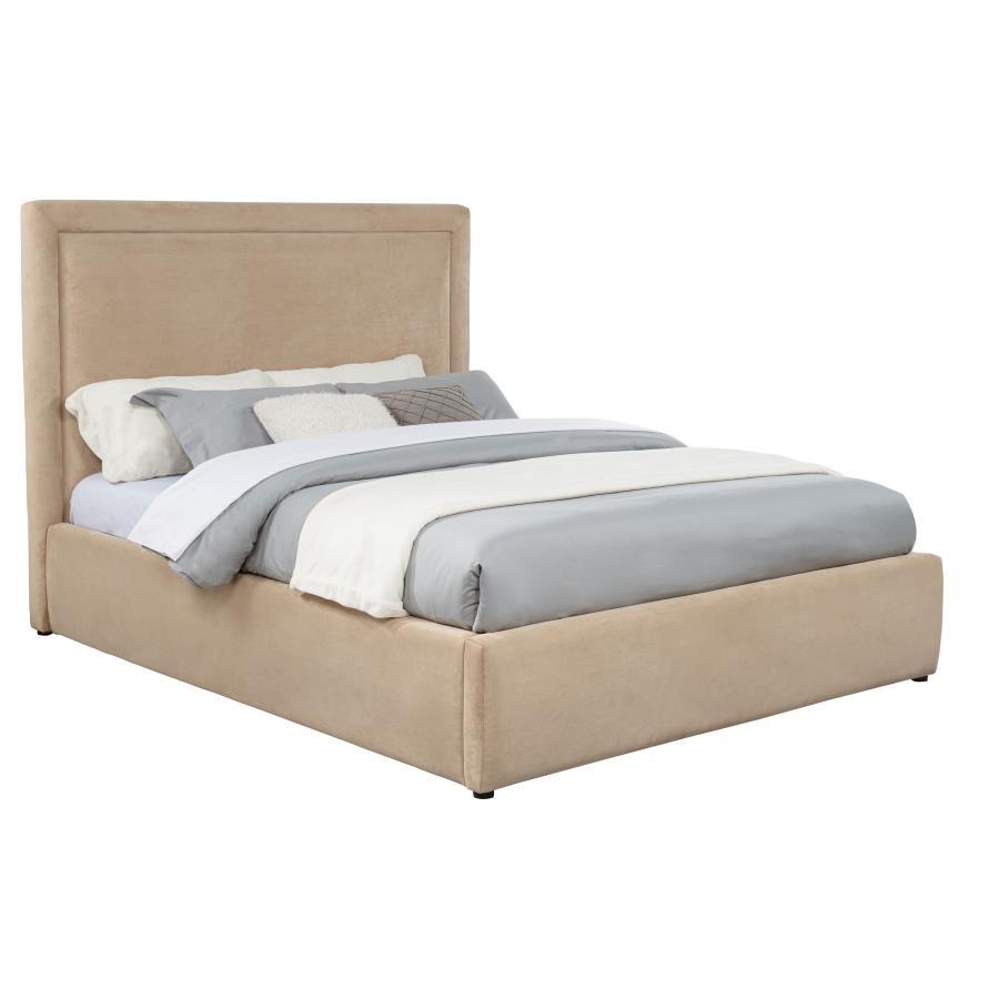 Lawson - Upholstered Platform Bed Upholstered Beds by Coaster Fine Furniture - Walls Furniture & Mattress