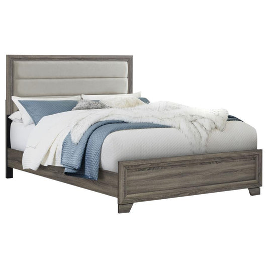 Wright - Upholstered Bed Upholstered Beds by Coaster Fine Furniture - Walls Furniture & Mattress