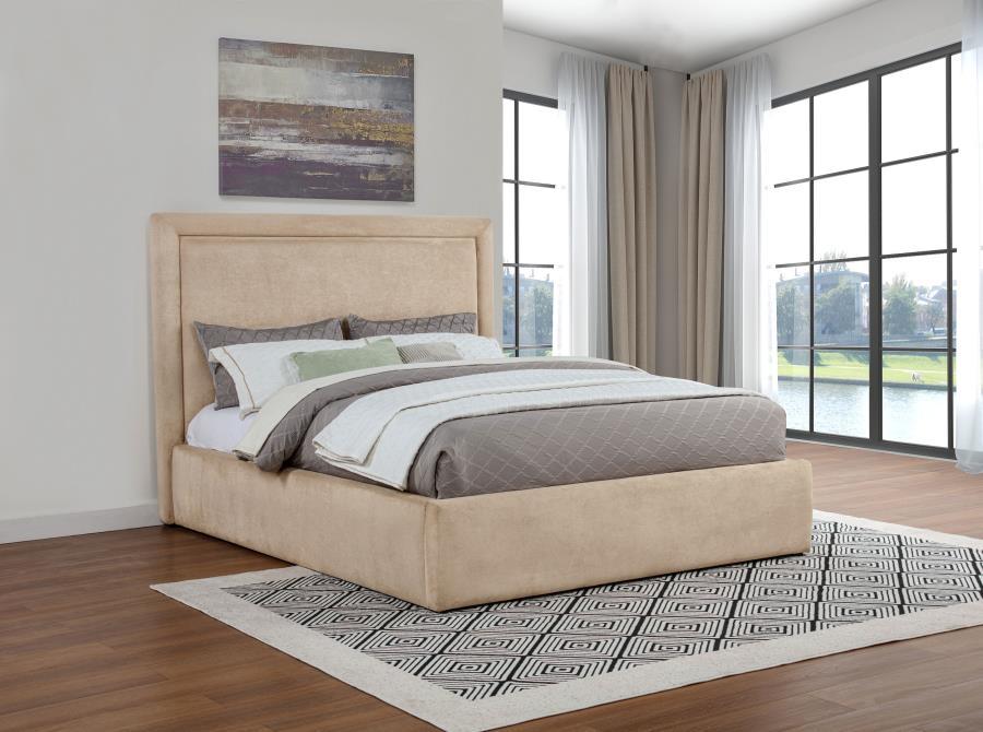 Lawson - Upholstered Platform Bed Upholstered Beds by Coaster Fine Furniture - Walls Furniture & Mattress