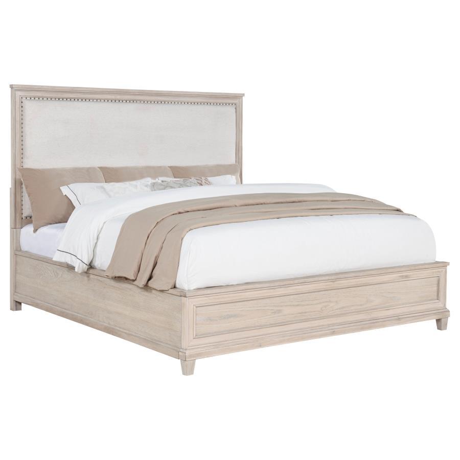 Pembroke - Panel Bed Upholstered Beds by Coaster Fine Furniture - Walls Furniture & Mattress