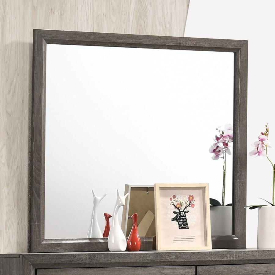 Watson - Dresser Mirror - Gray Oak Mirrors by CoasterEveryday - Walls Furniture & Mattress