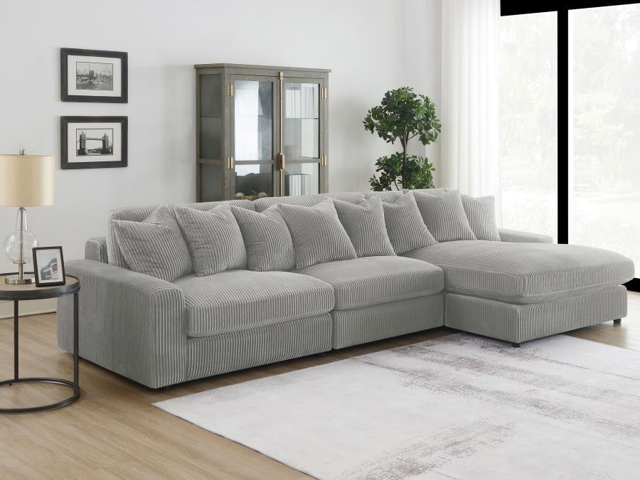 Blaine - Reversible Upholstered Chaise Sectional Sofa Stationary Sectionals by Coaster Fine Furniture - Walls Furniture & Mattress