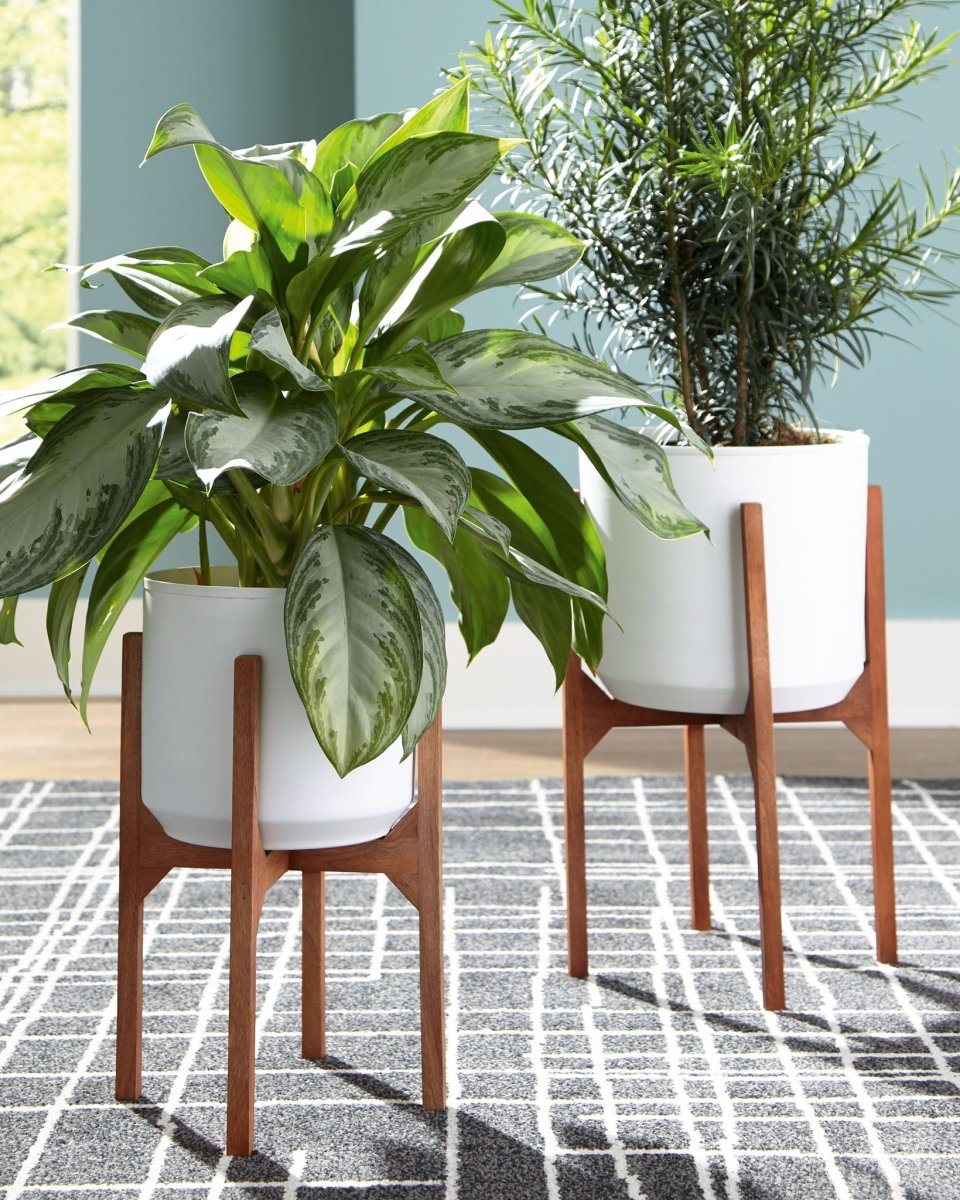 Dorcey - Planter Set (Set of 2) - White / Brown Planters by Signature Design by Ashley® - Walls Furniture & Mattress