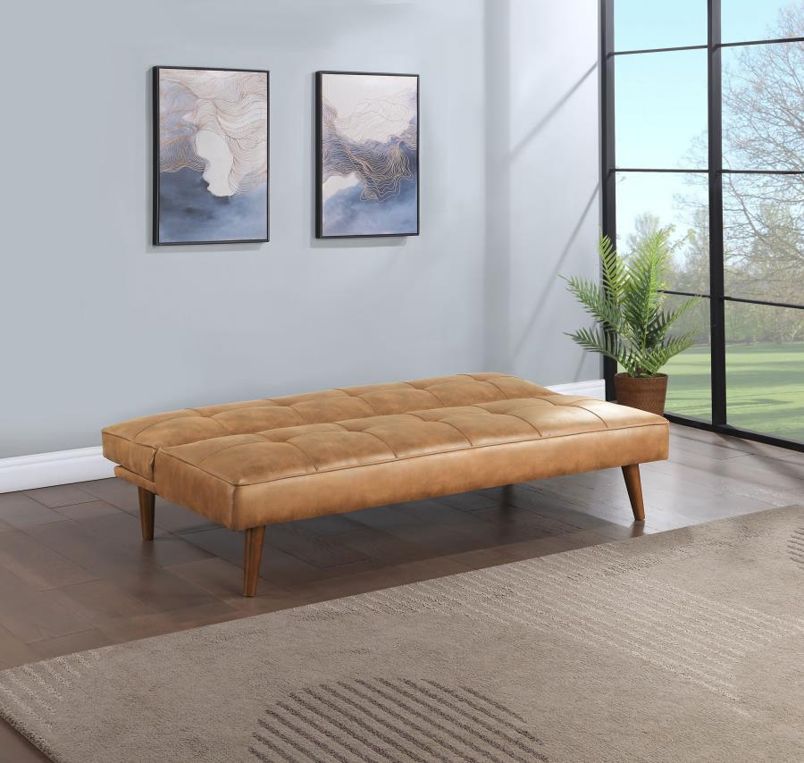Jenson - Upholstered Tufted Convertible Sofa Bed Futon Sofas by Coaster Fine Furniture - Walls Furniture & Mattress