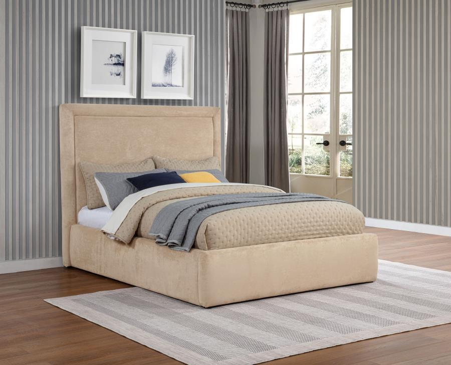 Lawson - Upholstered Platform Bed Upholstered Beds by Coaster Fine Furniture - Walls Furniture & Mattress
