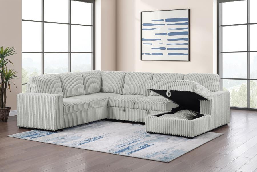 Devonshire - Sleeper Sectional Sofa Storage Chaise Sleeper Sectionals by Coaster Fine Furniture - Walls Furniture & Mattress