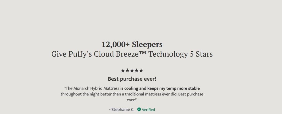 Puffy Royal Twin Hybrid Mattress Hybrid Mattresses by Puffy - Walls Furniture & Mattress