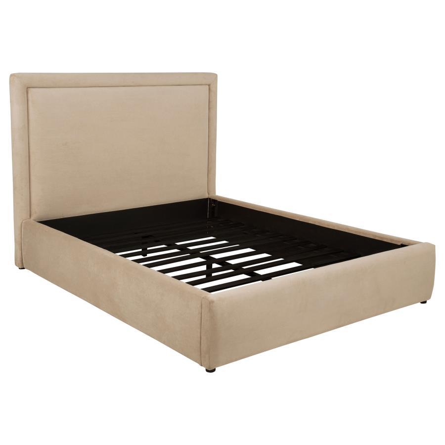 Lawson - Upholstered Platform Bed Upholstered Beds by Coaster Fine Furniture - Walls Furniture & Mattress