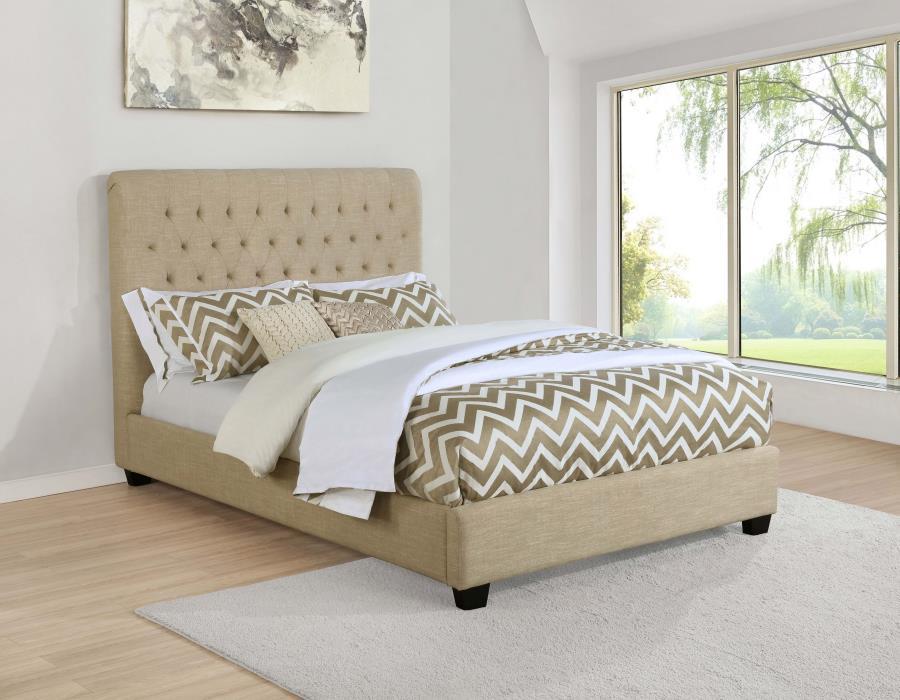 Chloe - Upholstered Panel Bed Upholstered Beds by CoasterEssence - Walls Furniture & Mattress