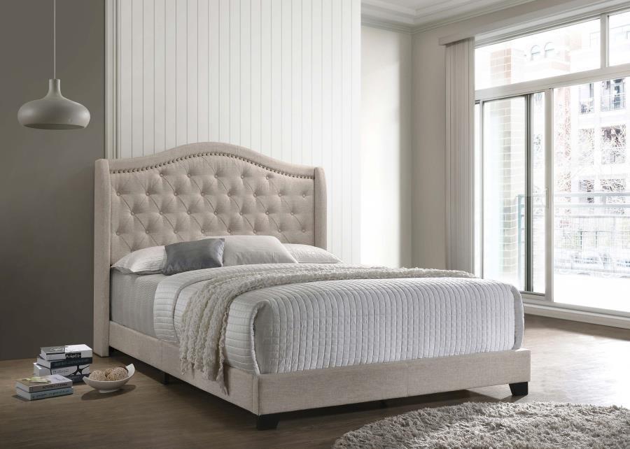 Sonoma - Upholstered Wingback Bed Upholstered Beds by CoasterEssence - Walls Furniture & Mattress