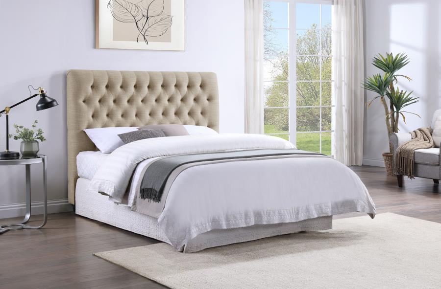 Chloe - Upholstered Panel Headboard Upholstered Headboards by CoasterEssence - Walls Furniture & Mattress