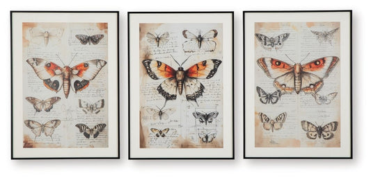 Jossletts - Orange / Black / Ivory - Wall Art Set (Set of 3) Framed Print Sets by Signature Design by Ashley® - Walls Furniture & Mattress