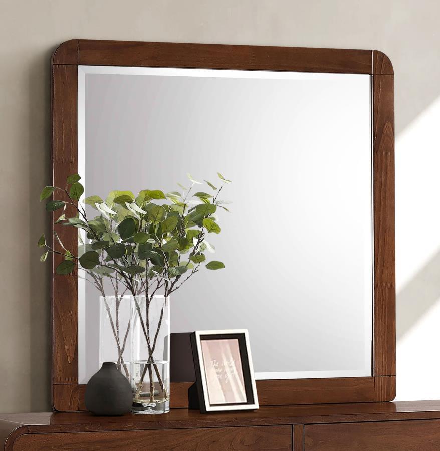 Robyn - Dresser Mirror Mirrors by CoasterEssence - Walls Furniture & Mattress