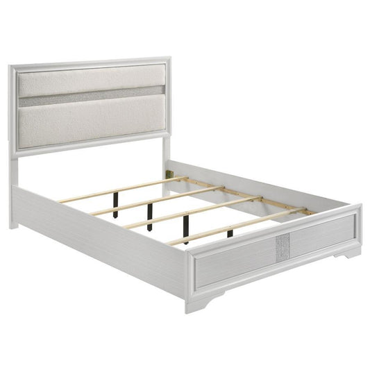Miranda - Upholstered Panel Bed Upholstered Beds by Coaster Fine Furniture - Walls Furniture & Mattress