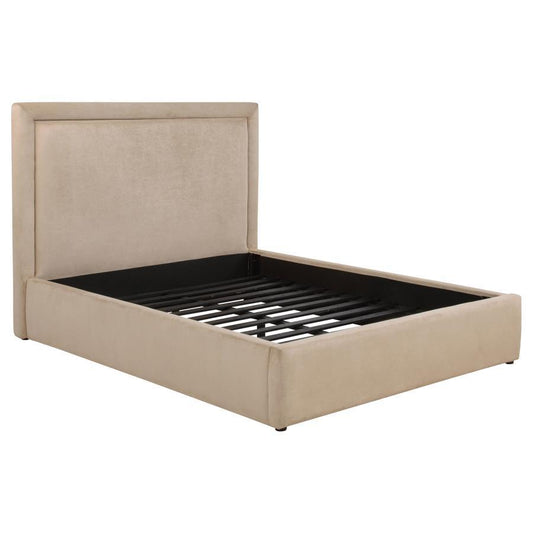 Lawson - Upholstered Platform Bed Upholstered Beds by Coaster Fine Furniture - Walls Furniture & Mattress