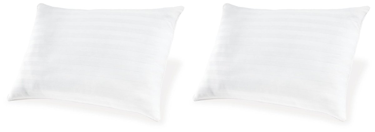 Zephyr 2.0 - Cotton Pillow Bed Pillows by Ashley Sleep® - Walls Furniture & Mattress