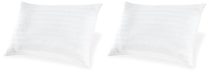 Zephyr 2.0 - Cotton Pillow Bed Pillows by Ashley Sleep® - Walls Furniture & Mattress