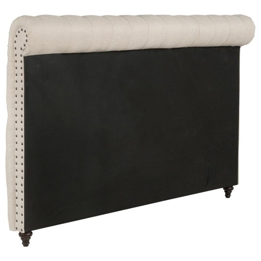 Devon - Upholstered Headboard Upholstered Headboards by CoasterEssence - Walls Furniture & Mattress