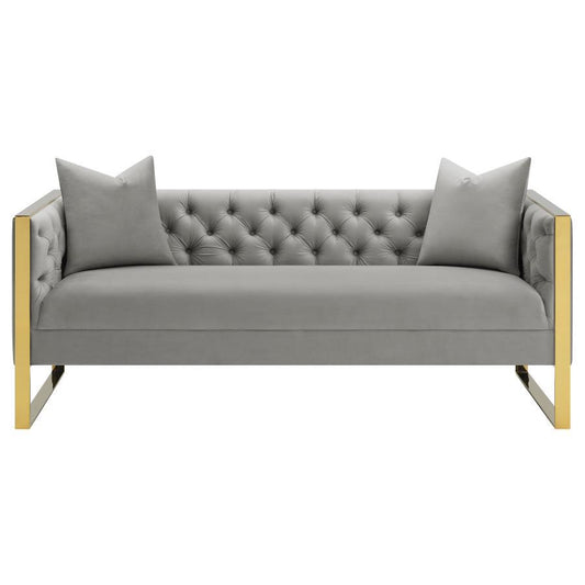 Eastbrook - Velvet Upholstered Tufted Sofa - Gray Stationary Sofas by CoasterElevations - Walls Furniture & Mattress