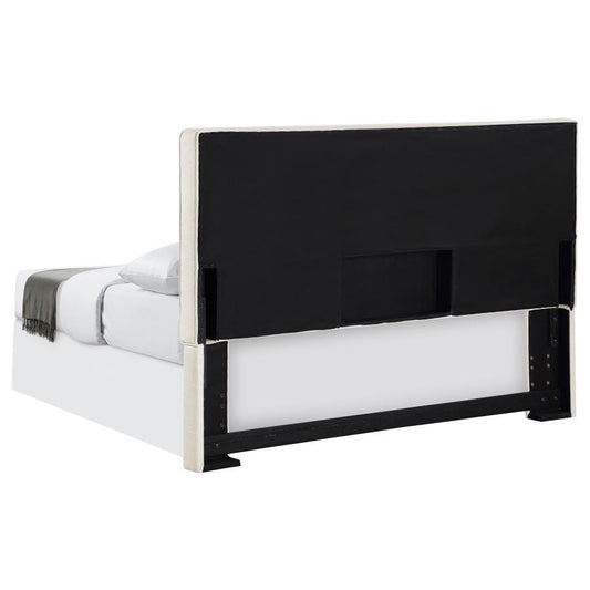 Kosmo - Upholstered Panel Headboard Upholstered Headboards by CoasterEveryday - Walls Furniture & Mattress