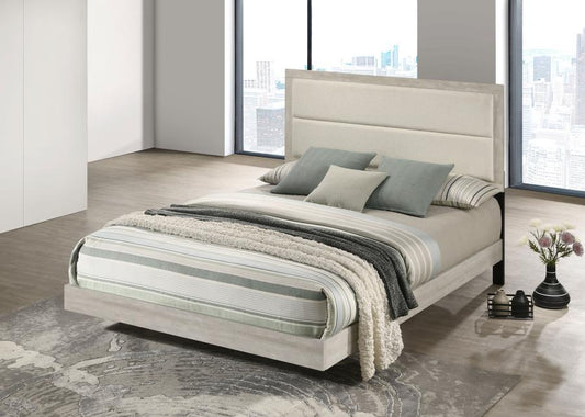 Trenton - Wood Panel Bed Upholstered Beds by Coaster Fine Furniture - Walls Furniture & Mattress