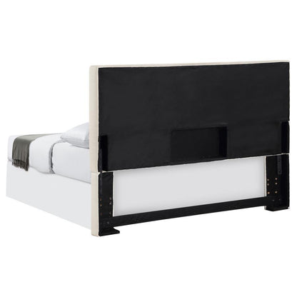 Pirro - Upholstered Panel Headboard Upholstered Headboards by CoasterEveryday - Walls Furniture & Mattress