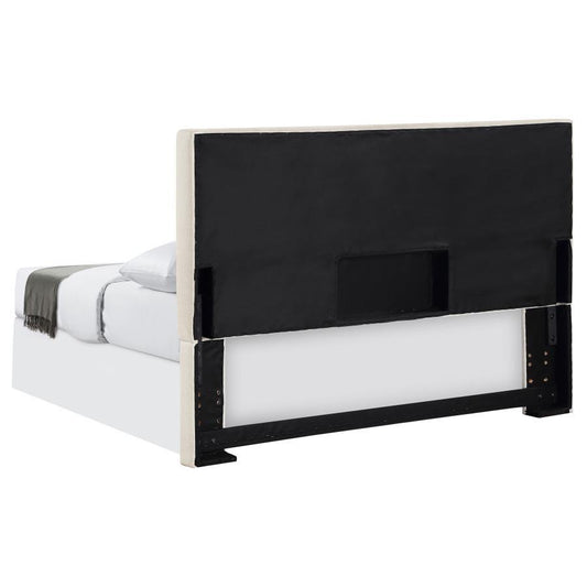 Pirro - Upholstered Panel Headboard Upholstered Headboards by CoasterEveryday - Walls Furniture & Mattress