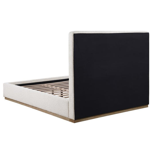 Knox - Upholstered Platform Bed Upholstered Beds by Coaster Fine Furniture - Walls Furniture & Mattress