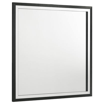Lucia - Dresser Mirror Bedroom Mirrors by Coaster Fine Furniture - Walls Furniture & Mattress