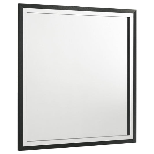 Lucia - Dresser Mirror Bedroom Mirrors by Coaster Fine Furniture - Walls Furniture & Mattress